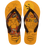 Yellow Pop