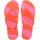 Neon Coral