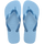Lavender Blue