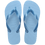 Lavender Blue