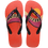 Blood Orange