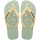 COAST GREEN