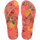 TROPICAL CORAL