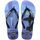 LAVENDER BLUE
