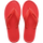 TROPICAL CORAL