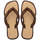 Dark Brown/Golden